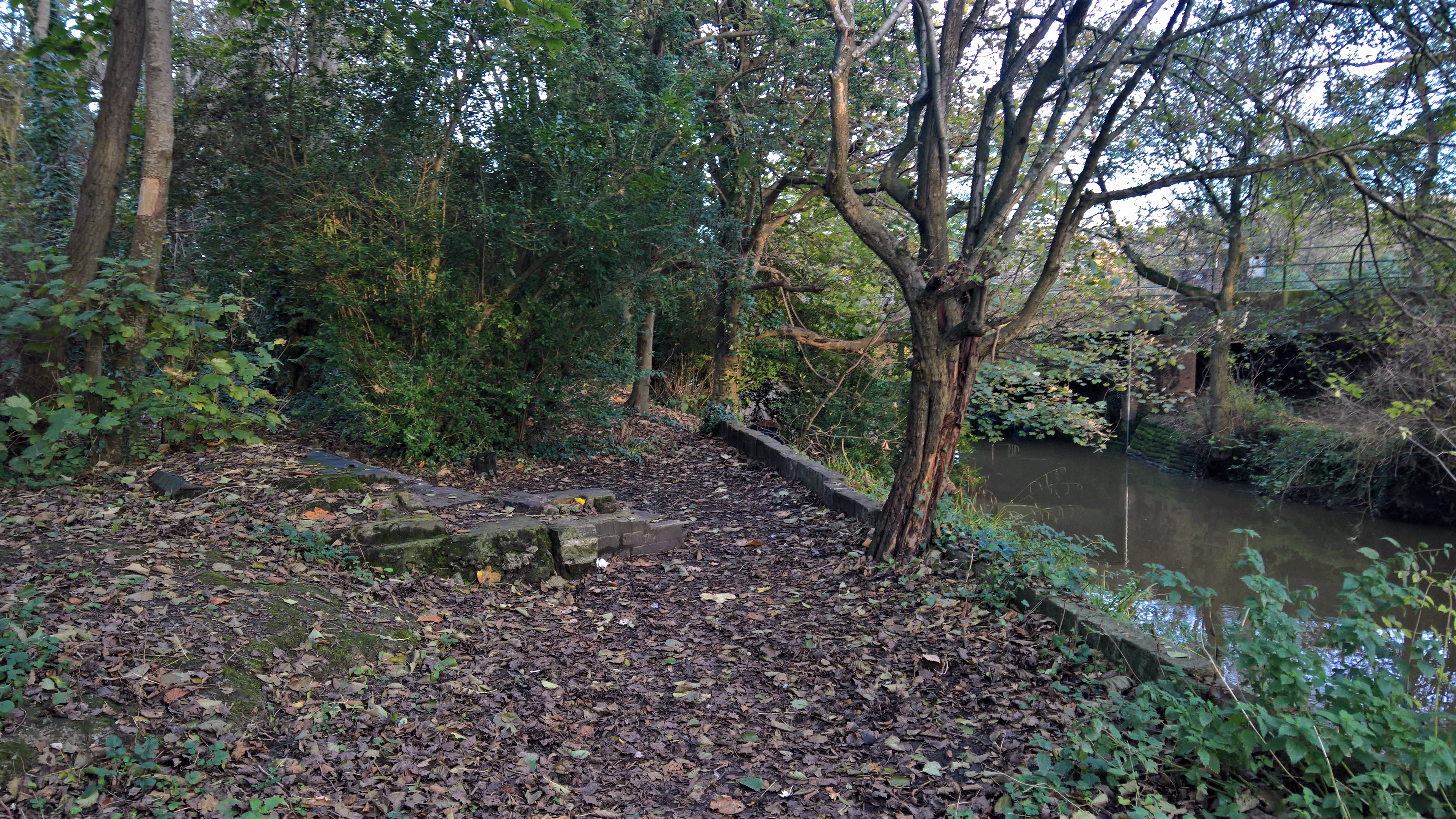 WP_20171108_15_38_42_Pro_LI