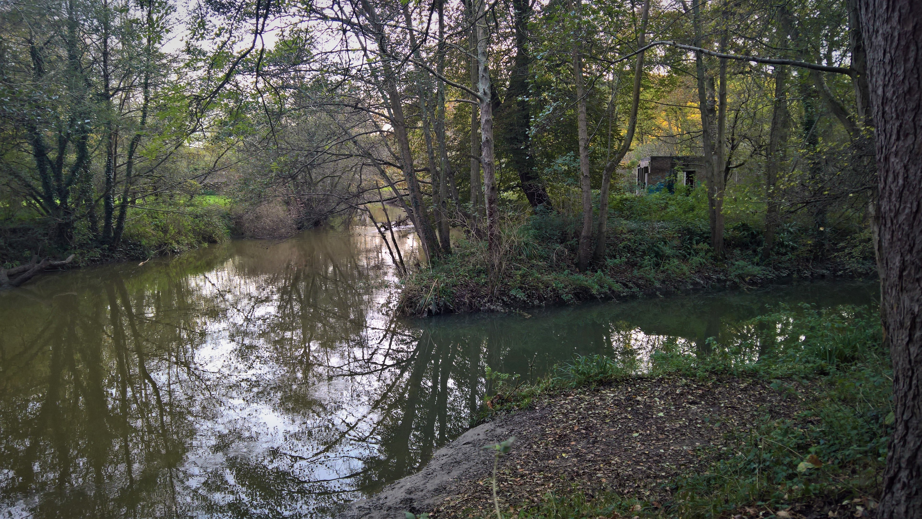 WP_20171108_15_47_15_Pro_LI