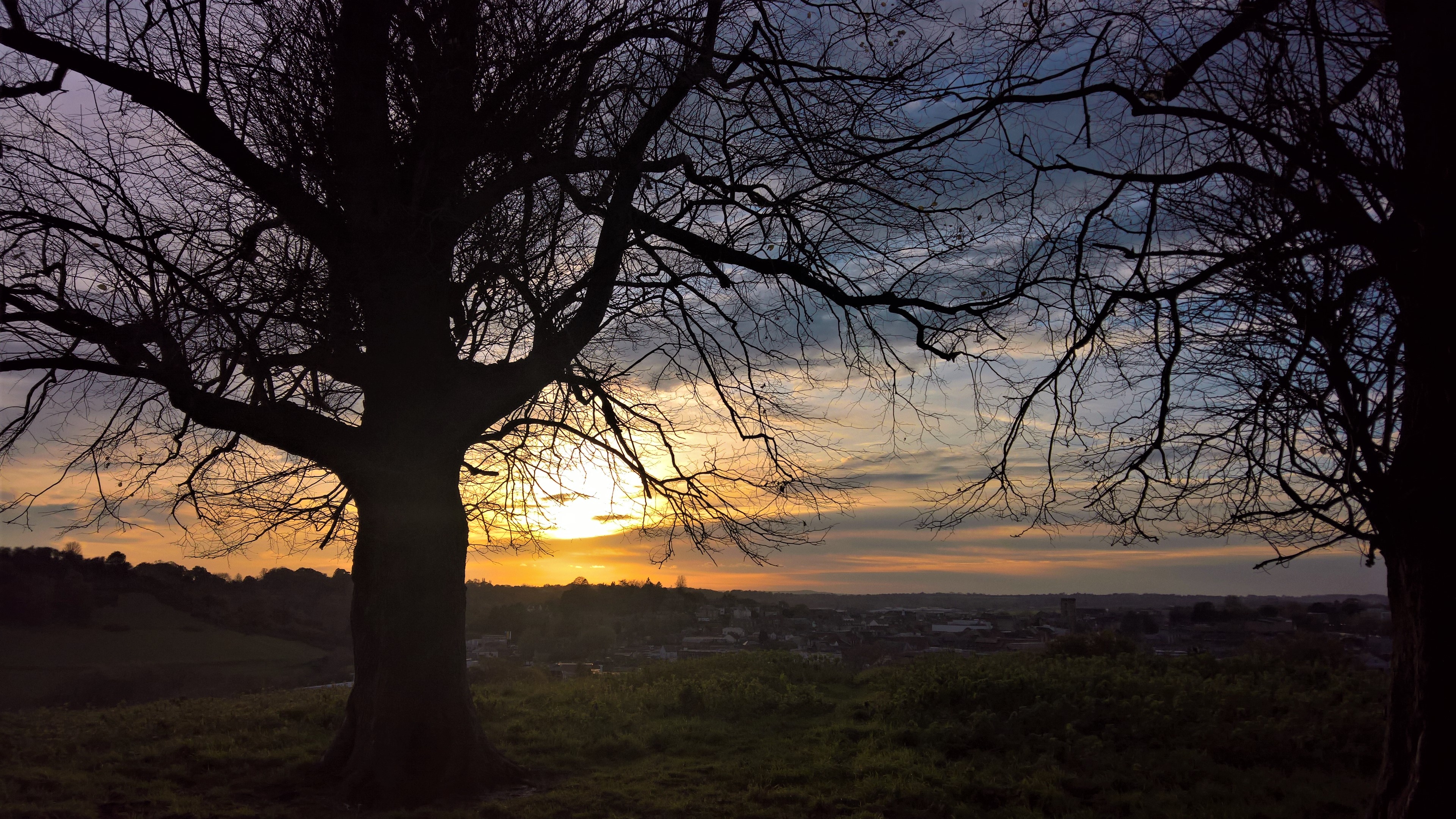 WP_20171108_15_57_33_Pro_LI