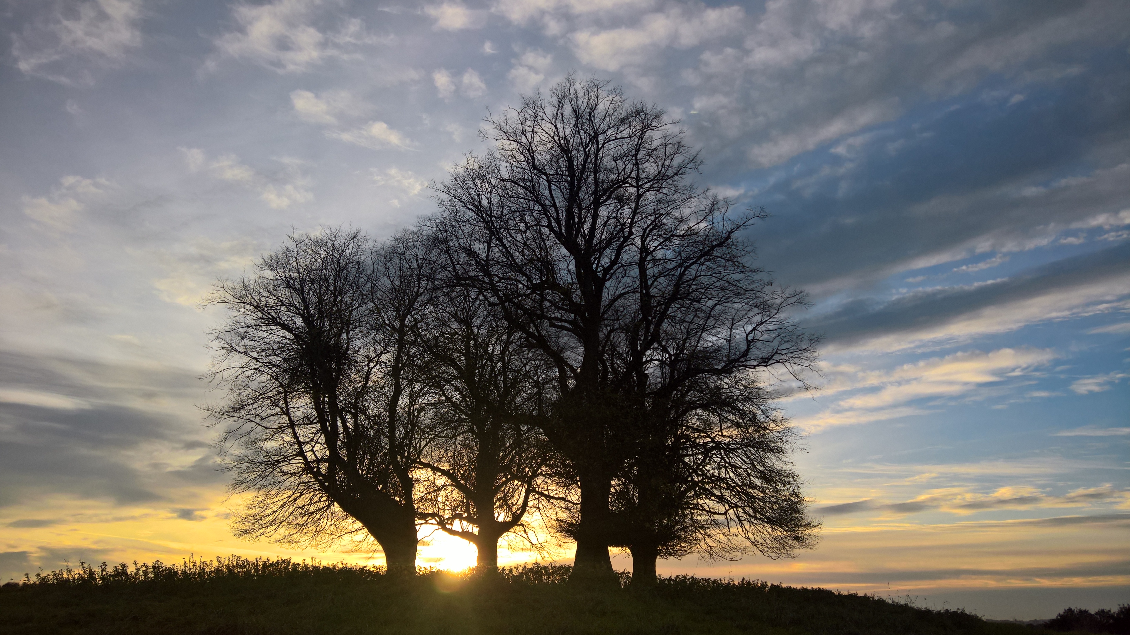 WP_20171108_15_59_40_Pro_LI