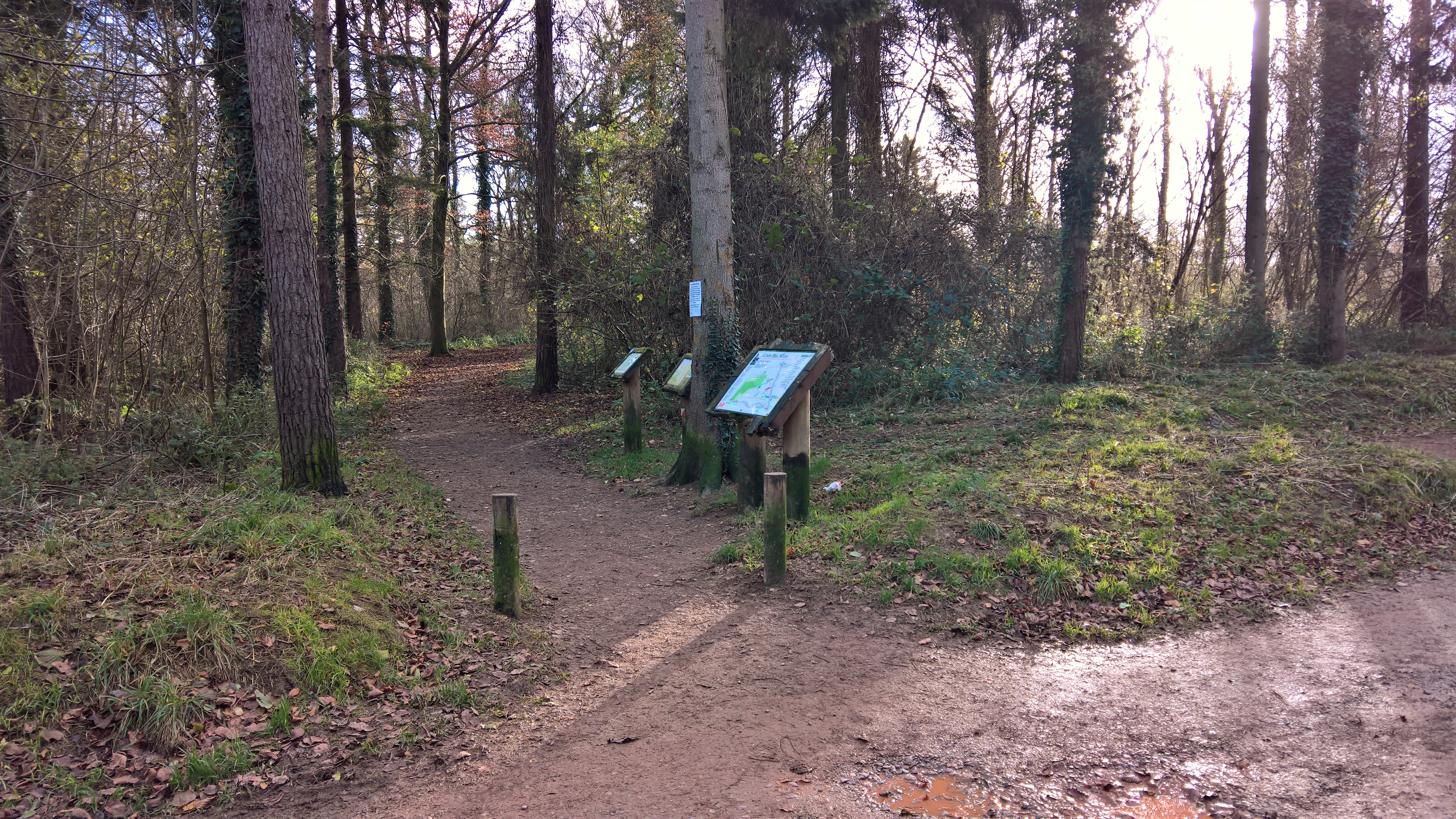 WP_20171208_13_05_08_Pro_LI